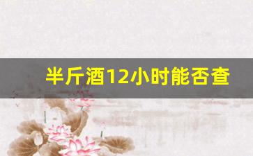 半斤酒12小时能否查出酒驾_一斤白酒17个小时测试结果