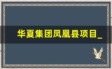 华夏集团凤凰县项目_凤凰地产集团有限公司