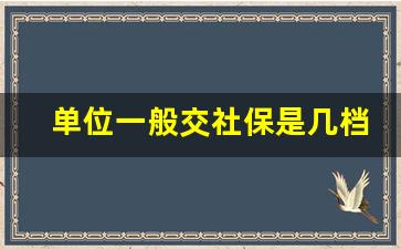 单位一般交社保是几档_怎么查自己社保卡是几档