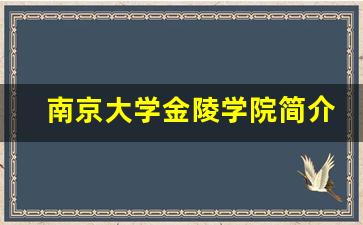 南京大学金陵学院简介_南京所有大学排名