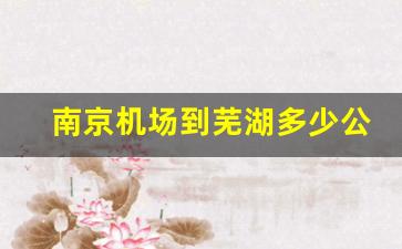 南京机场到芜湖多少公里路_南京禄口机场到芜湖怎么坐车