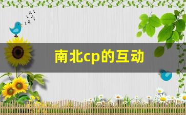 南北cp的互动