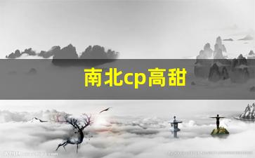 南北cp高甜