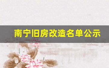 南宁旧房改造名单公示网_南宁市旧房改造新政策