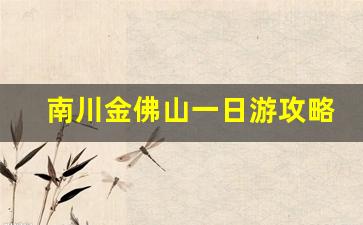 南川金佛山一日游攻略_重庆南川金佛山景点介绍