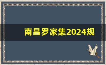 南昌罗家集2024规划_南昌市罗家集还会拆迁吗