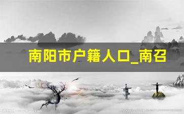 南阳市户籍人口_南召县人口总数2023年多少