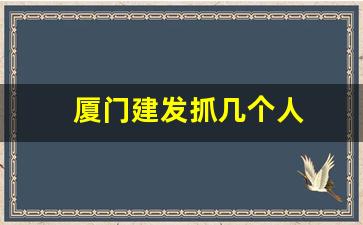 厦门建发抓几个人