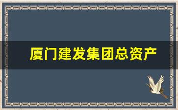 厦门建发集团总资产