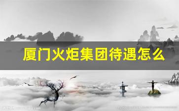 厦门火炬集团待遇怎么样_厦门火炬集团创业投资有限公司