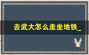 去武大怎么走坐地铁_武昌火车站到武汉大学怎么走