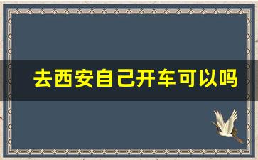 去西安自己开车可以吗_自己开车去西安要几个小时