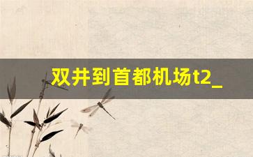 双井到首都机场t2_朝阳区双井到首都机场T3多少时间