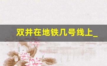 双井在地铁几号线上_北京地铁4号线动物园站出口