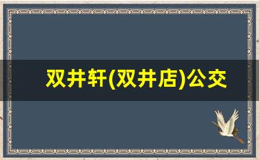 双井轩(双井店)公交怎么走