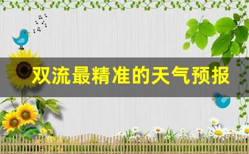 双流最精准的天气预报_双流天气预报15天查询官网