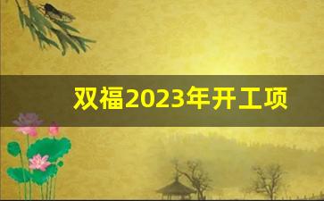 双福2023年开工项目_2023双福最新消息