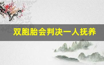 双胞胎会判决一人抚养一个吗