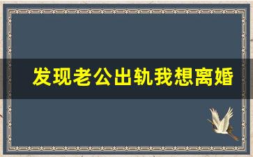 发现老公出轨我想离婚怎么办