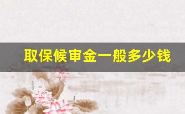 取保候审金一般多少钱_取保候审要花4万吗