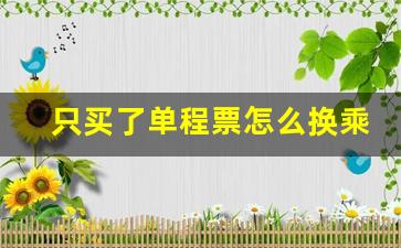 只买了单程票怎么换乘_不是换乘票可以不用出站又上车吗