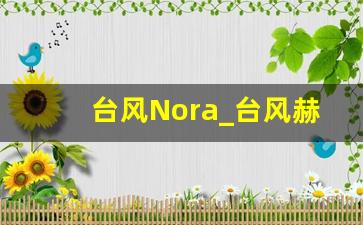 台风Nora_台风赫克托