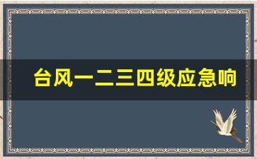 台风一二三四级应急响应