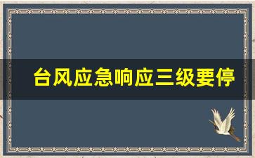 台风应急响应三级要停课吗_台风预警什么级别停课