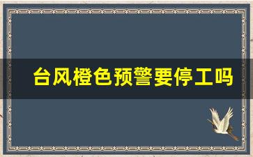 台风橙色预警要停工吗_台风小犬停课吗最新消息