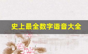 史上最全数字谐音大全_数字谐音自动翻译器