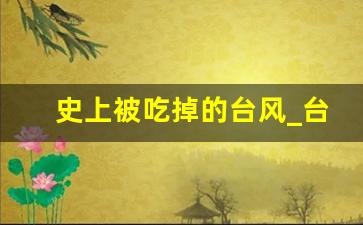 史上被吃掉的台风_台风最远刮到我国的哪里