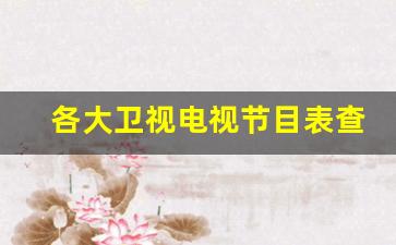 各大卫视电视节目表查询_中央电视台一套广告价目表