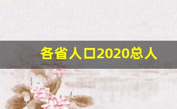 各省人口2020总人数口是多少_2020年河南人口排行榜