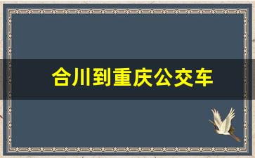 合川到重庆公交车