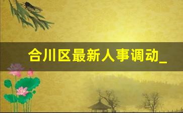 合川区最新人事调动_商洛市最新人事调整