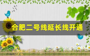 合肥二号线延长线开通日期_合肥地铁二号线运营时间2021