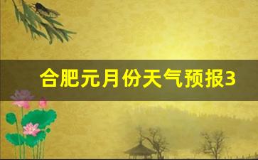 合肥元月份天气预报30天_12月份天气