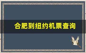 合肥到纽约机票查询