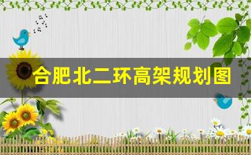 合肥北二环高架规划图_四里河路工程什么时候建成