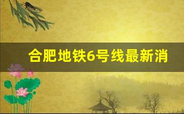 合肥地铁6号线最新消息站点_合肥2023年2号线西延最新情况