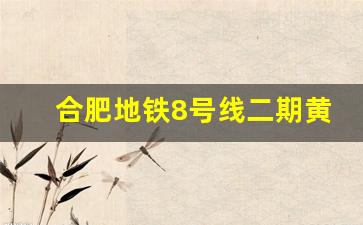 合肥地铁8号线二期黄了_合肥7号线延乔路站