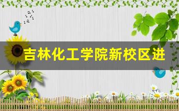 吉林化工学院新校区进展情况_吉林省高校十四五规划