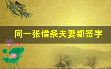 同一张借条夫妻都签字_借条正规模板