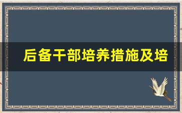 后备干部培养措施及培养计划