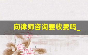 向律师咨询要收费吗_律师事务所法律咨询