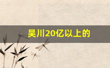 吴川20亿以上的