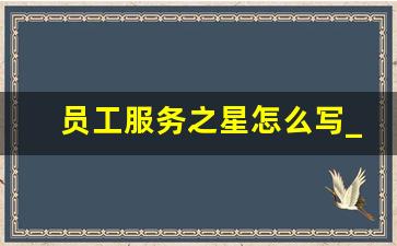 员工服务之星怎么写_保安员优秀个人怎么写