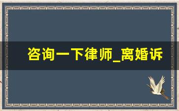 咨询一下律师_离婚诉讼律师事务所