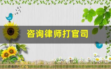 咨询律师打官司