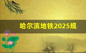 哈尔滨地铁2025规划_哈尔滨四号线动工了吗